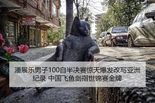 潘展乐男子100自半决赛惊天爆发改写亚洲纪录 中国飞鱼剑指世锦赛金牌 | Kaiyun